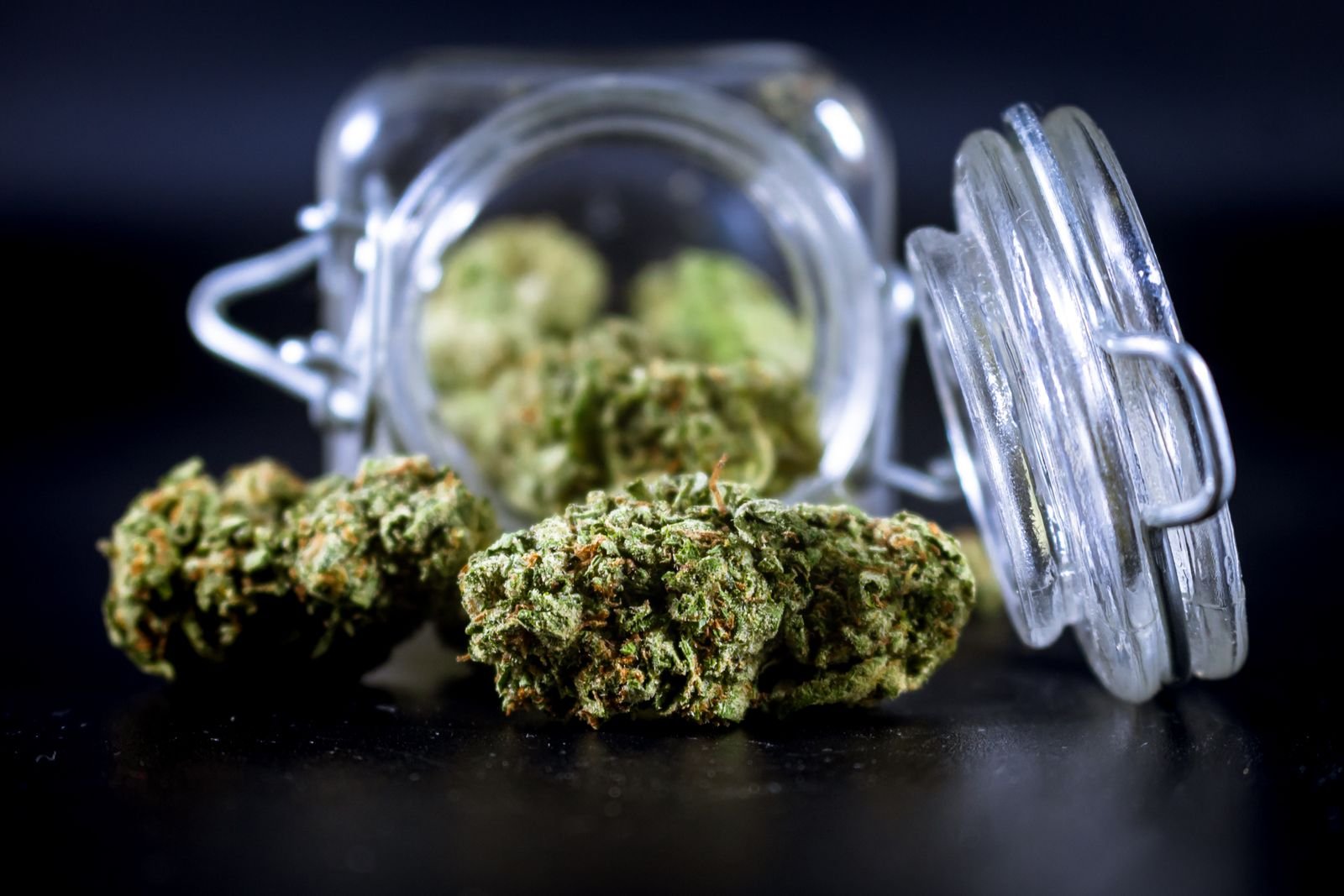 Tarro de cristal con flores CBD sobre fondo oscuro